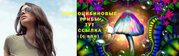 трава Медногорск