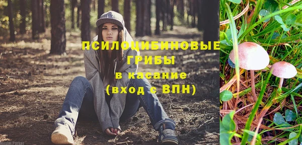 бошки Мегион