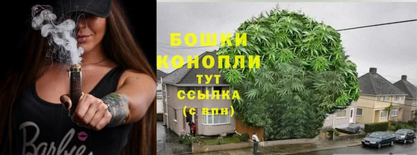 трава Медногорск