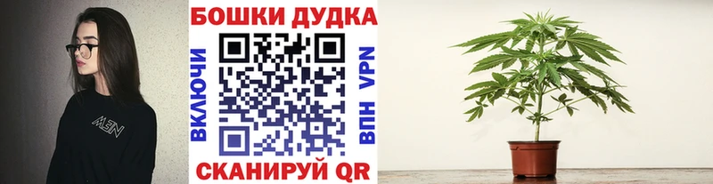 купить   Дорогобуж  Бошки Шишки план 